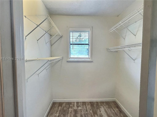 walk in closet with wood-type flooring