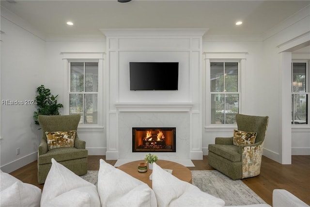 living room with ornamental molding, wood-type flooring, and a premium fireplace