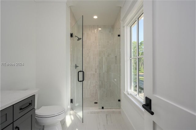 bathroom with plenty of natural light, toilet, a shower with door, and vanity