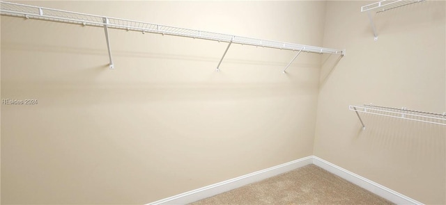 walk in closet with carpet