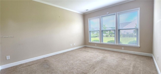 carpeted spare room featuring ornamental molding and a healthy amount of sunlight