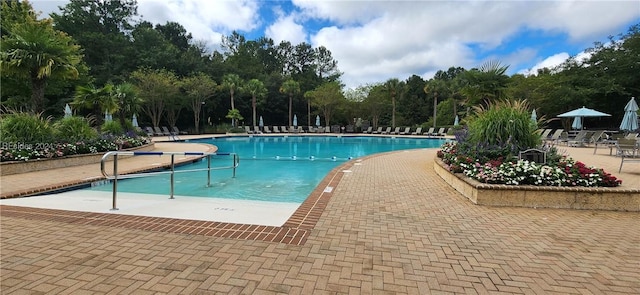 view of pool featuring a patio