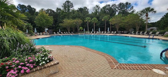 view of pool with a patio area