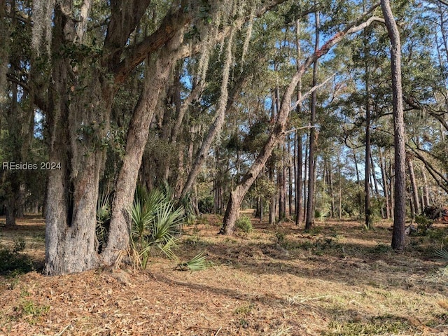 41 River Rd, Daufuskie Island SC, 29915 land for sale