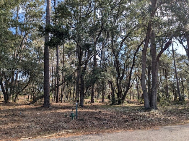 Listing photo 2 for 41 River Rd, Daufuskie Island SC 29915