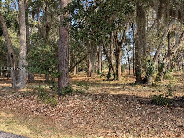 Listing photo 3 for 41 River Rd, Daufuskie Island SC 29915