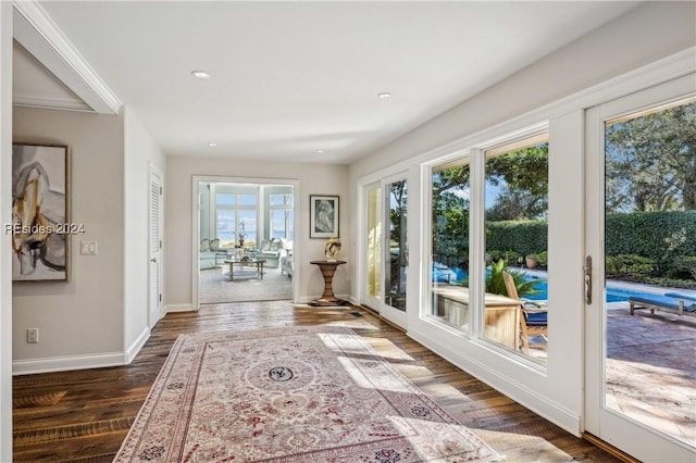 doorway to outside featuring dark hardwood / wood-style floors