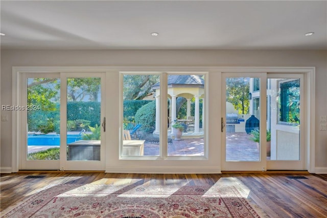 entryway featuring wood-type flooring and plenty of natural light