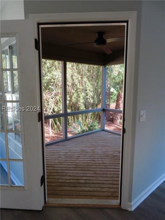 entryway featuring dark wood-type flooring