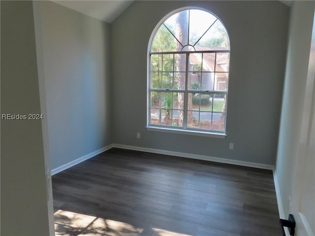 spare room featuring dark wood-type flooring