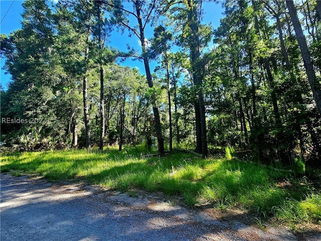 250 Haig Point Rd, Daufuskie Island SC, 29915 land for sale