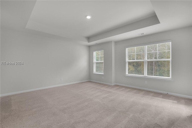 spare room featuring a raised ceiling and light carpet