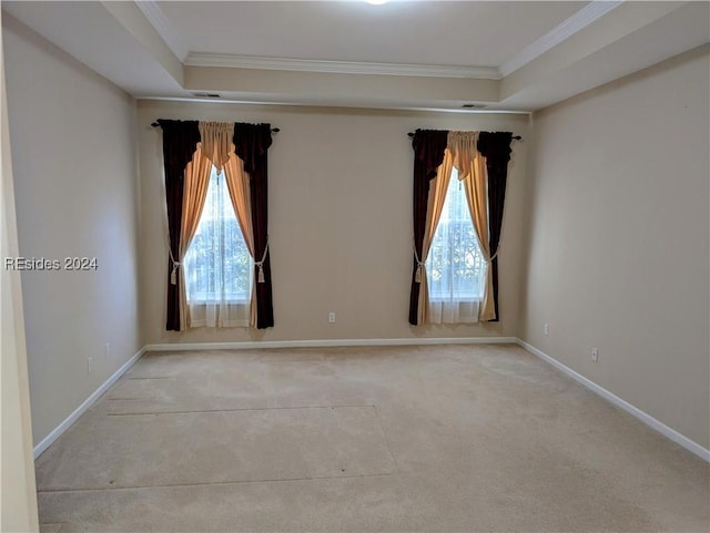 carpeted empty room featuring crown molding and a raised ceiling