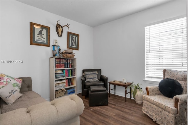 living area featuring dark wood-type flooring