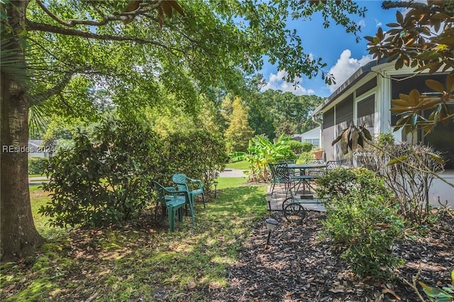 view of yard featuring a patio