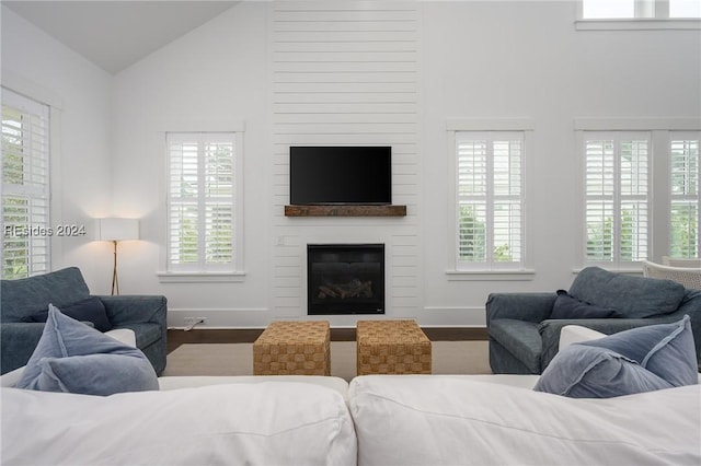 living room with wood-type flooring, lofted ceiling, and a fireplace