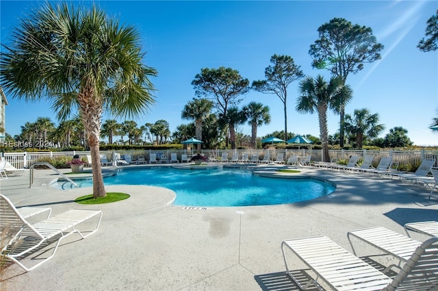 view of swimming pool featuring a patio