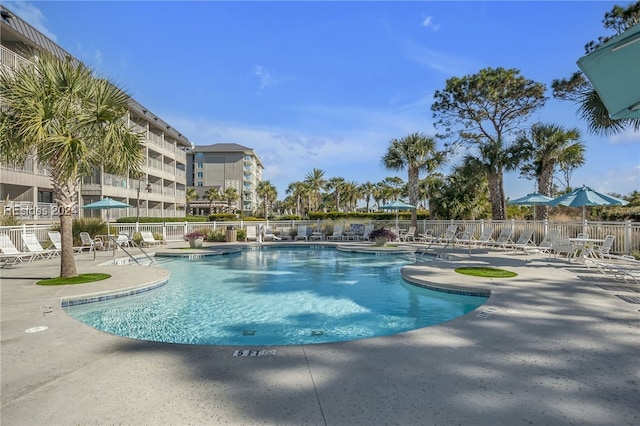 view of pool with a patio