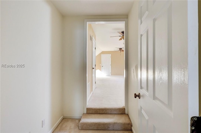 stairs featuring ceiling fan and carpet flooring