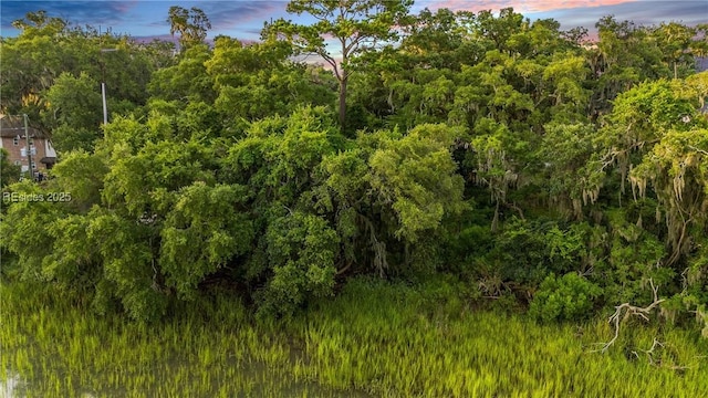 view of nature at dusk