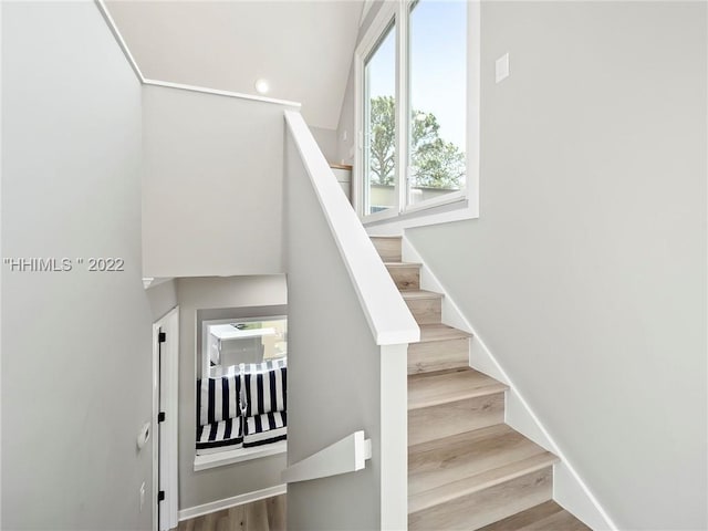 stairs featuring wood-type flooring