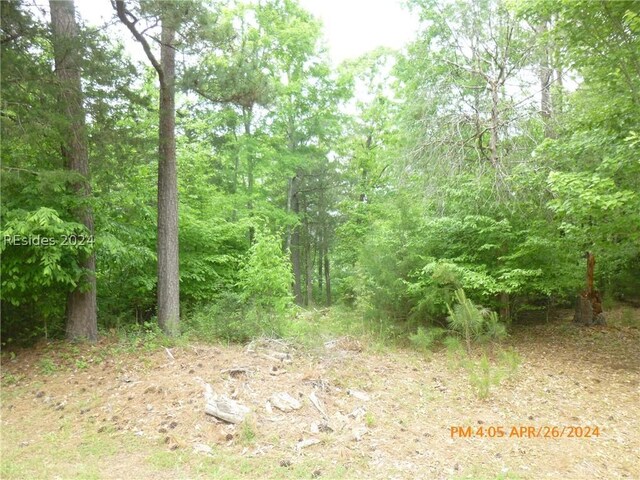 Listing photo 2 for LOT15BLOCK40 Waters Edge Dr, Mccormick SC 29835