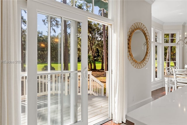 doorway to outside with ornamental molding and plenty of natural light