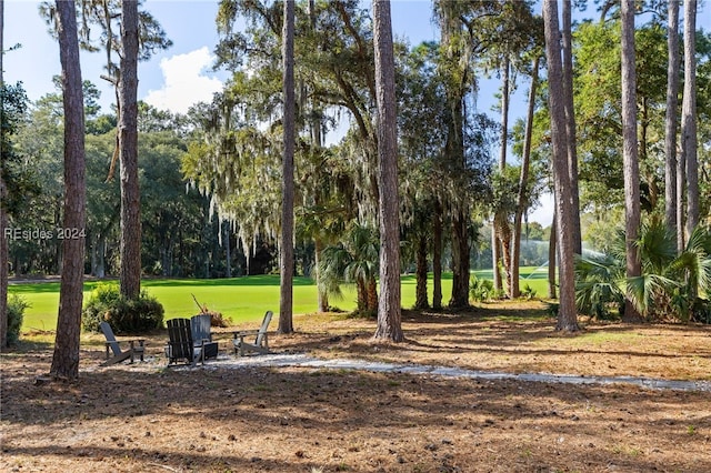 surrounding community featuring a lawn