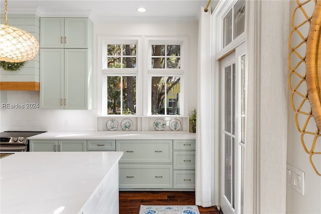 kitchen with backsplash, dark wood-type flooring, a healthy amount of sunlight, and stainless steel electric range oven