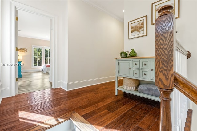 hallway featuring ornamental molding and dark hardwood / wood-style flooring