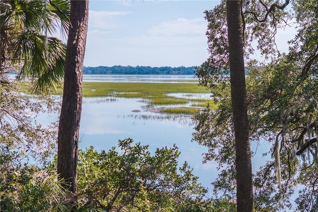 property view of water