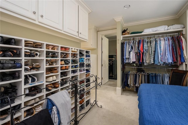 spacious closet with light carpet