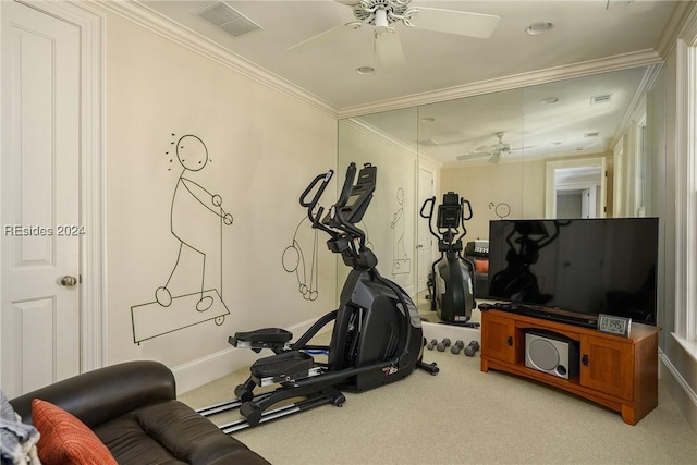 workout room featuring crown molding, ceiling fan, and carpet floors