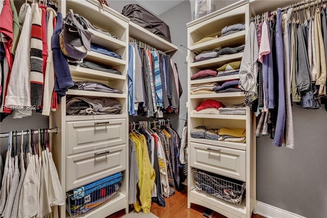 50 Gleneagle Ct, Bluffton, SC 29909 - walk in closet with hardwood / wood-style floors