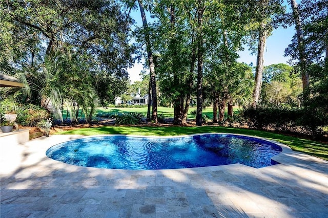 view of swimming pool featuring a patio and a lawn