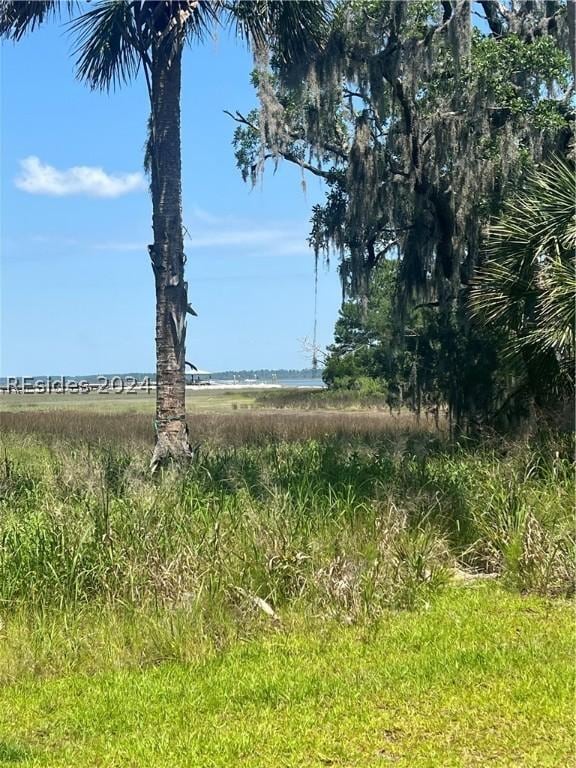 Listing photo 2 for 10 Shell Rake Ln, Daufuskie Island SC 29915