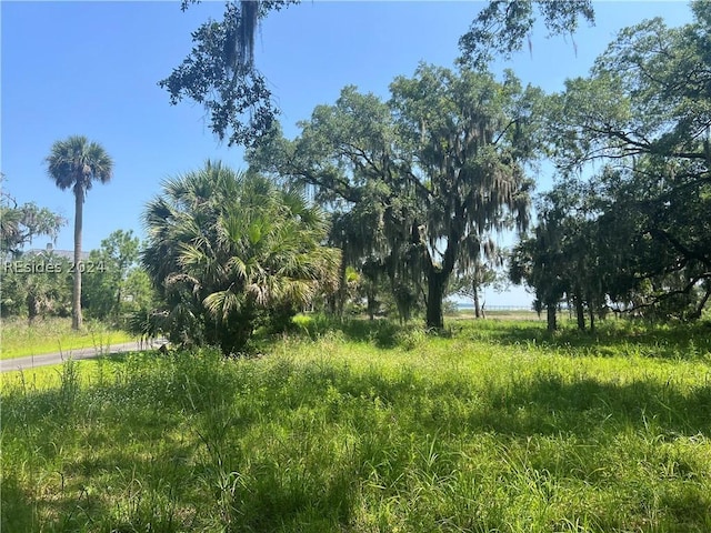 10 Shell Rake Ln, Daufuskie Island SC, 29915 land for sale