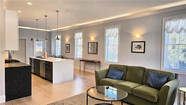 living room featuring sink, crown molding, and light hardwood / wood-style floors