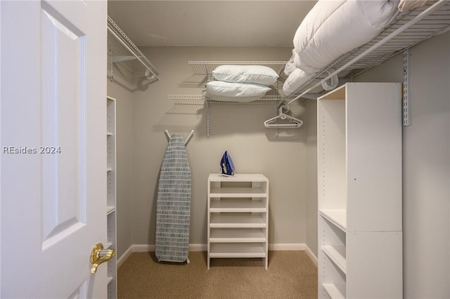 walk in closet featuring carpet floors