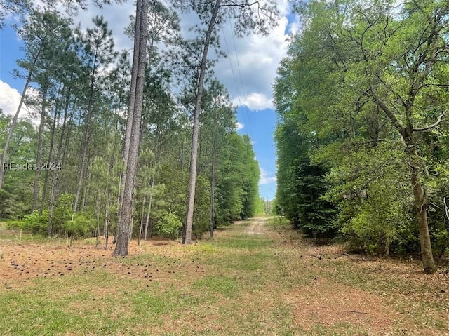 view of local wilderness