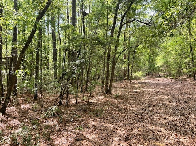 view of local wilderness