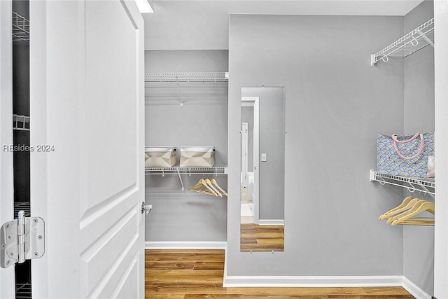 spacious closet with wood-type flooring