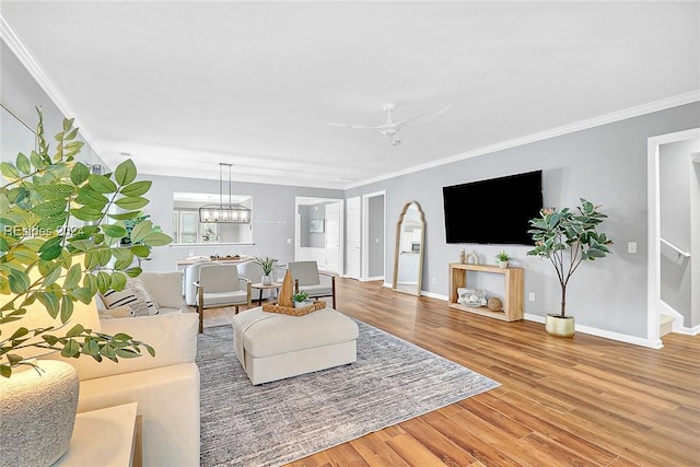 living room with wood-type flooring, ornamental molding, and ceiling fan with notable chandelier