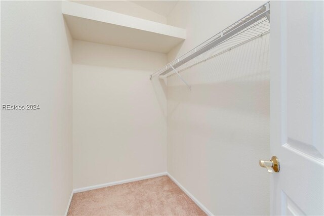 walk in closet with light colored carpet