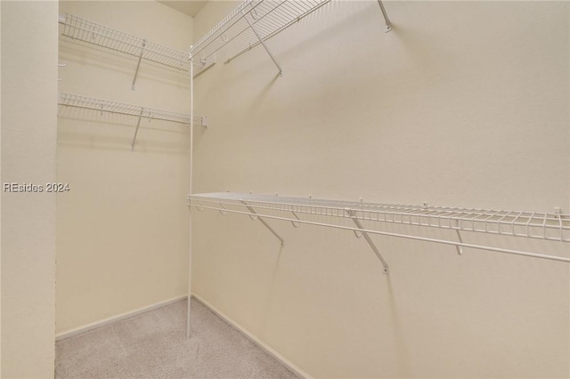 spacious closet with light carpet