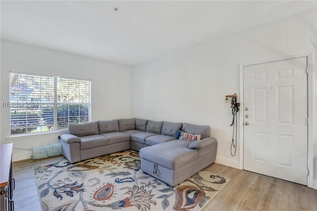 living room featuring light hardwood / wood-style floors