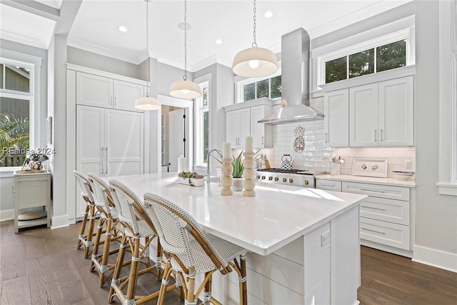 kitchen with white cabinetry, ventilation hood, an island with sink, and decorative backsplash