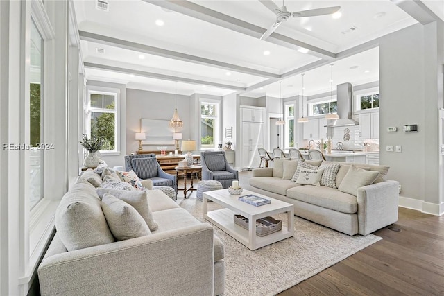 living room with hardwood / wood-style floors, beam ceiling, and a wealth of natural light