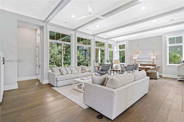 living room featuring beamed ceiling, hardwood / wood-style flooring, and ceiling fan