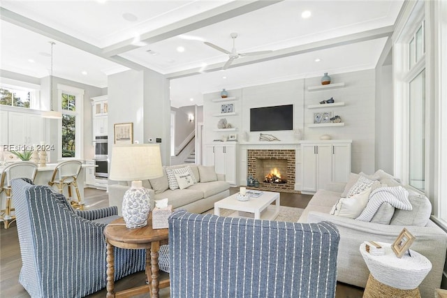 living room featuring beam ceiling, wood-type flooring, crown molding, and ceiling fan